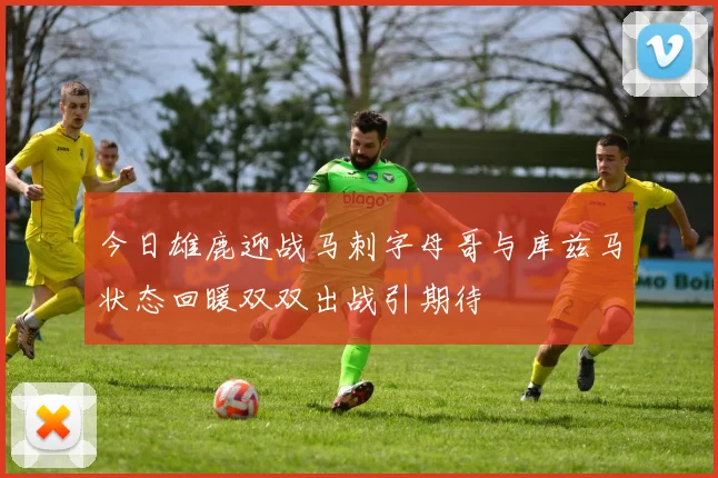 今日雄鹿迎战马刺字母哥与库兹马状态回暖双双出战引期待