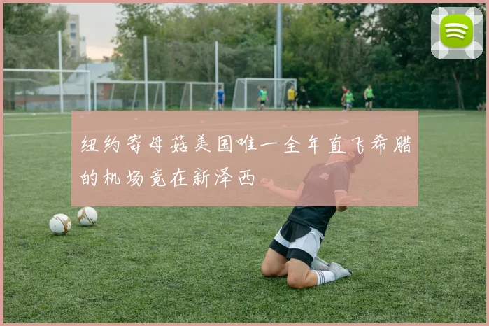 纽约寄母菇美国唯一全年直飞希腊的机场竟在新泽西