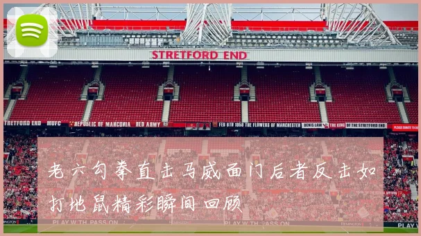 老六勾拳直击马威面门后者反击如打地鼠精彩瞬间回顾